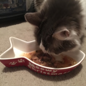 The purrfect moment: sipping on her soup! 